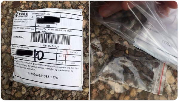 UPDATE - Mysterious seed packets from China sent to dozens of people in 3 states, officials say China-seeds-usps-strange-package-1
