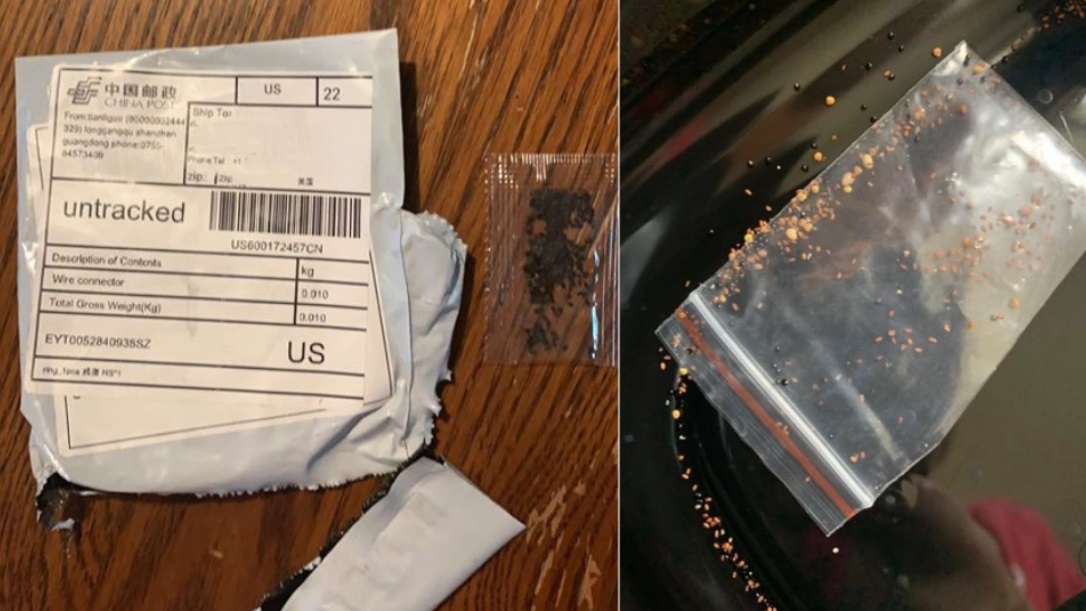 UPDATE - Mysterious seed packets from China sent to dozens of people in 3 states, officials say Kansas-mysterious-seeds